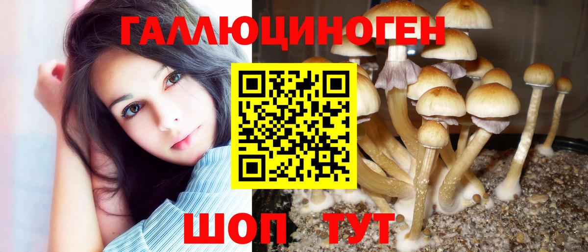 Псилоцибиновые грибы прущие грибы  Вход с VPN  Псилоцибиновые грибы Psilocybe  Оренбург 